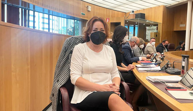 La Diputada Provincial de IU, Mari Carmen Pérez (IU)