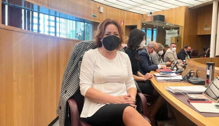 La Diputada Provincial de IU, Mari Carmen Pérez (IU) La Diputada Provincial de IU, Mari Carmen Pérez (IU)