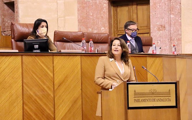 Intevención De La Consejera Carmen Crespo En El Debate A La Totalidad De La Ley De Economía Circular (JUNTA)