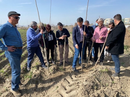 Imagen de la plantación de chopos (SALVEMOS LA VEGA)