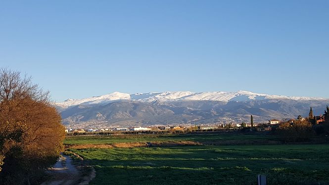 Vista panorámica de Cúllar Vega (AYTO. CÚLLAR VEGA) 