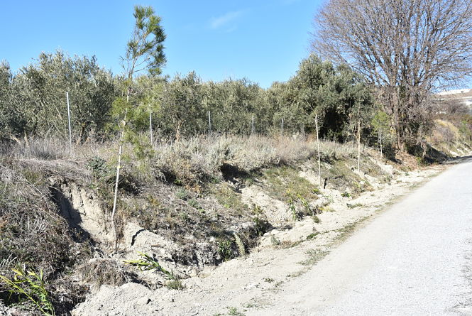 Estado de la via verde (AYTO. BAZA)