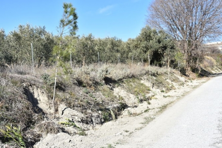 Estado de la via verde (AYTO. BAZA) Estado de la via verde (AYTO. BAZA)