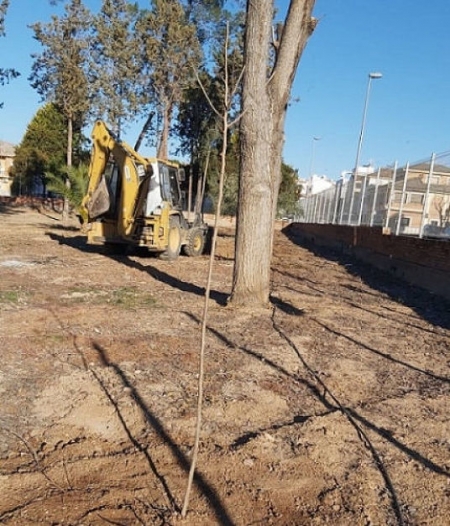 Plantación de árboles en Albolote (AYTO. ALBOLOTE)