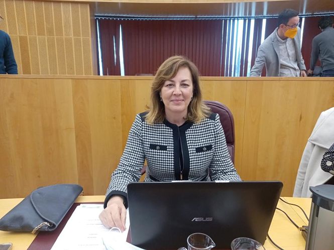 La Portavoz provincial de VOX, Cristina Jiménez (VOX) 