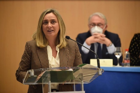 La consejera de Fomento, Infraestructuras y Ordenación del Territorio, Marifrán Carazo, en imagen de archivo (ÁLEX ZEA - EUROPA PRESS) 