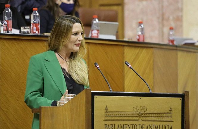 La parlamentaria andaluza de Ciudadanos, Concha Insúa (CIUDADANOS)