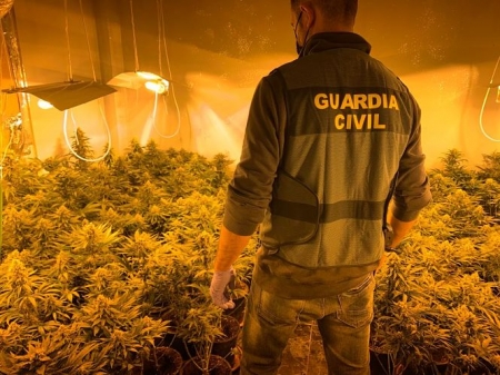 Imagen de uno de ls centros de producción de marihuana (GUARDIA CIVIL) Imagen de uno de ls centros de producción de marihuana (GUARDIA CIVIL)