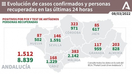 Evolución diaria de la pandemia en Andalucia (JUNTA DE ANDALUCÍA)