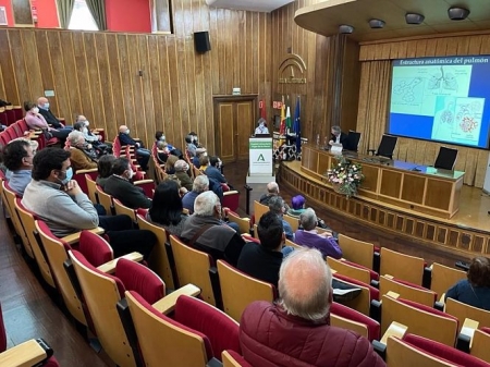 En el atril, la neumóloga responsable de la consulta de Intersticio del hospital granadino, Ana Romero, durante la reunión (JUNTA DE ANDALUCÍA) 