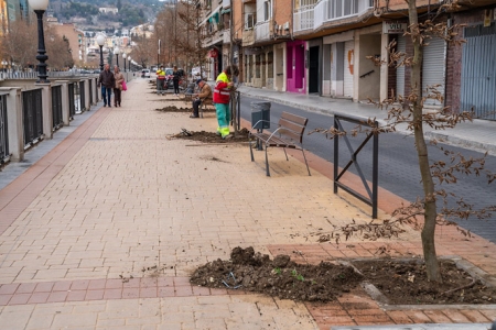 Plantación de árboles en Granada (AYTO. GRANADA)