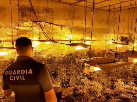 Agente de la Guardia Civil junto a una plantación de marihuana (GUARDIA CIVIL) 