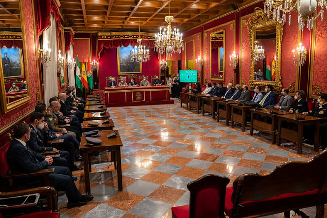 Imagen de la reunión (AYTO. GRANADA) 