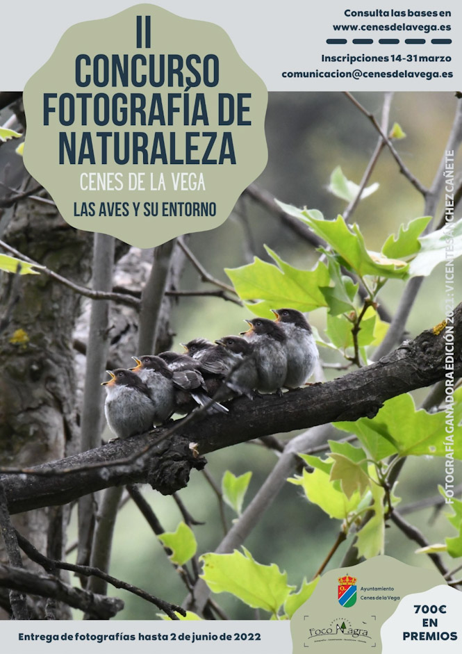 (AYUNTAMIENTO CENES DE LA VEGA)