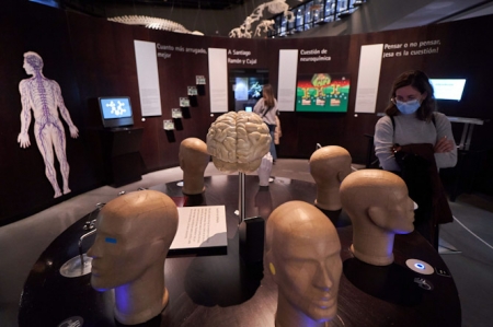 Imagen de la exposición (PARQUE DE LAS CIENCIAS)