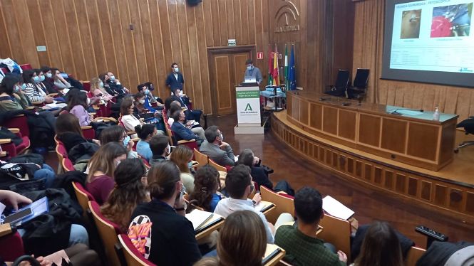 Un momento de las jornadas de Ginecología (JUNTA DE ANDALUCÍA) 
