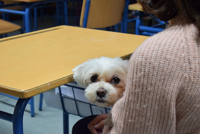 (AYUNTAMIENTO ALBOLOTE)