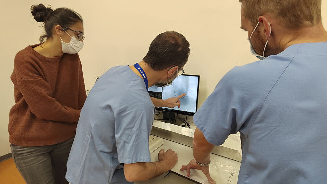 Imagen del curso (HUSC)