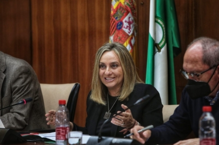 La Consejera de Fomento, Marifran Carazo (JUNTA) La Consejera de Fomento, Marifran Carazo (JUNTA)