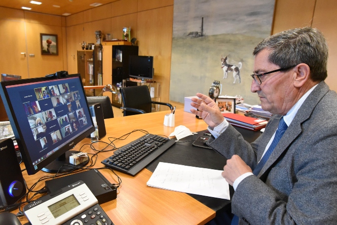 Imagen de la reunión telemática (R. MARTÍNEZ /DIPGRA)