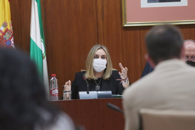 Marifrán Carazo, en la Comisión de Fomento este miércoles (JUNTA)