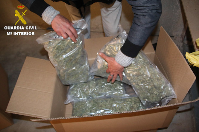 Marihuana incautada en Cijuela (GUARDIA CIVIL)