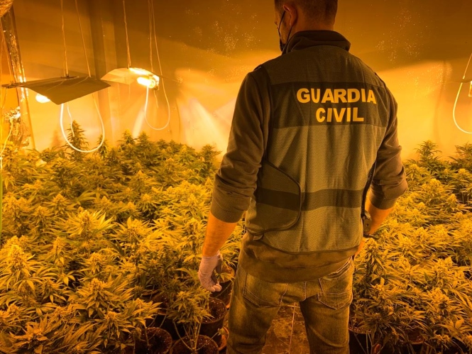 Agente de la Gaurdia CIvil en una de las plantaciones (GUARDIA CIVIL)