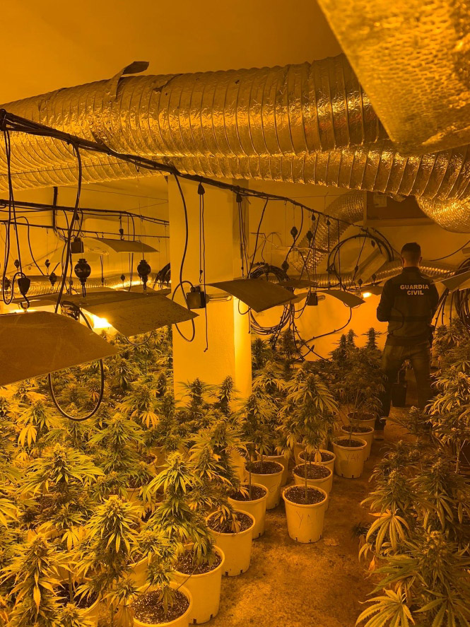 Un agente de la Guardia Civil en la plantación (GUARDIA CIVIL) 