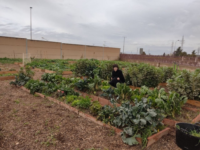 Huerto urbano de Armilla (PODEMOS) 
