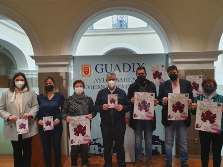 Presentación de la Feria de la Primavera (AYTO. GUADIX) Presentación de la Feria de la Primavera (AYTO. GUADIX)