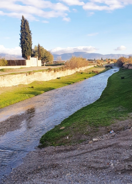 (AYUNTAMIENTO CÚLLAR VEGA)
