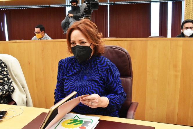 La Diputada Provincial de IU, Mari Carmen Pérez (IU)