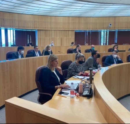 Grupo Popular en Diputación (PP) 