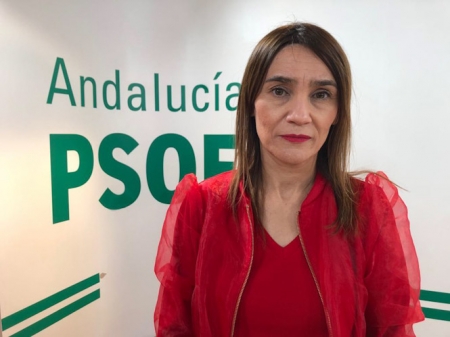 La vicesecretaria general del PSOE de Granada, Olga Manzano (PSOE)