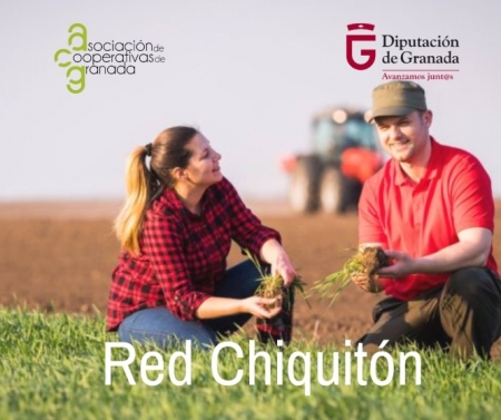 Imagen divulgativa de la Red Chiquitón (FAECA) Imagen divulgativa de la Red Chiquitón (FAECA)