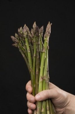 Manojo de espárragos