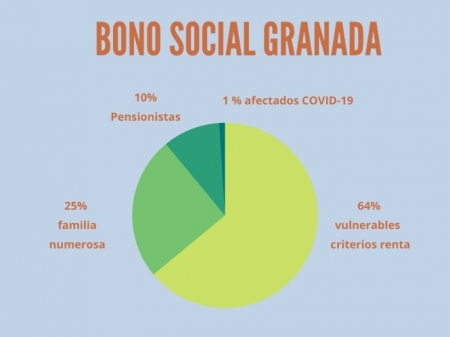 Gráfico de bono social en Granada para paliar la pobreza energética (ENDESA)