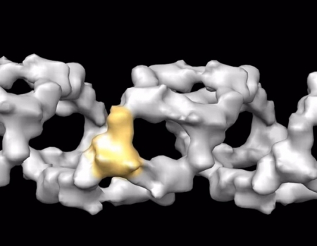 Recreación del virus de la gripe A, en imagen de archivo (CSIC)
