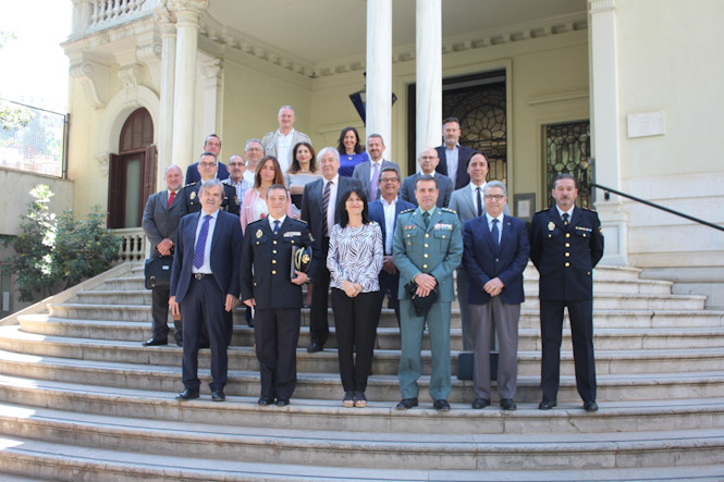 Comisión Mixta de Seguridad Privada (SUBDELEGACIÓN)