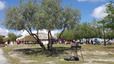 (AYUNTAMIENTO CÚLLAR VEGA) (AYUNTAMIENTO CÚLLAR VEGA)