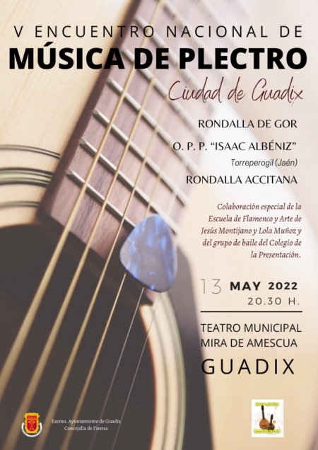 (AYUNTAMIENTO DE GUADIX) (AYUNTAMIENTO DE GUADIX)