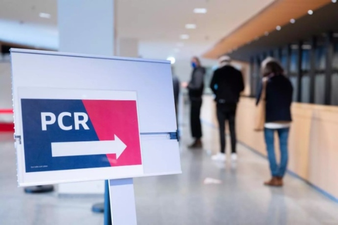 Realización de test PCR (SEBASTIAN KAHNERT/DPA-ZENTRALBILD/DPA) 