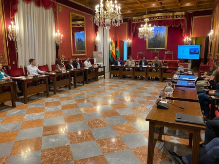 Imagen de la reunión (AYTO. GRANADA)