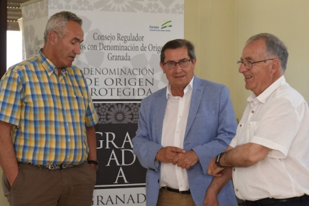 Imagen de la reunión (R. MARTÍNEZ/ DIPGRA)