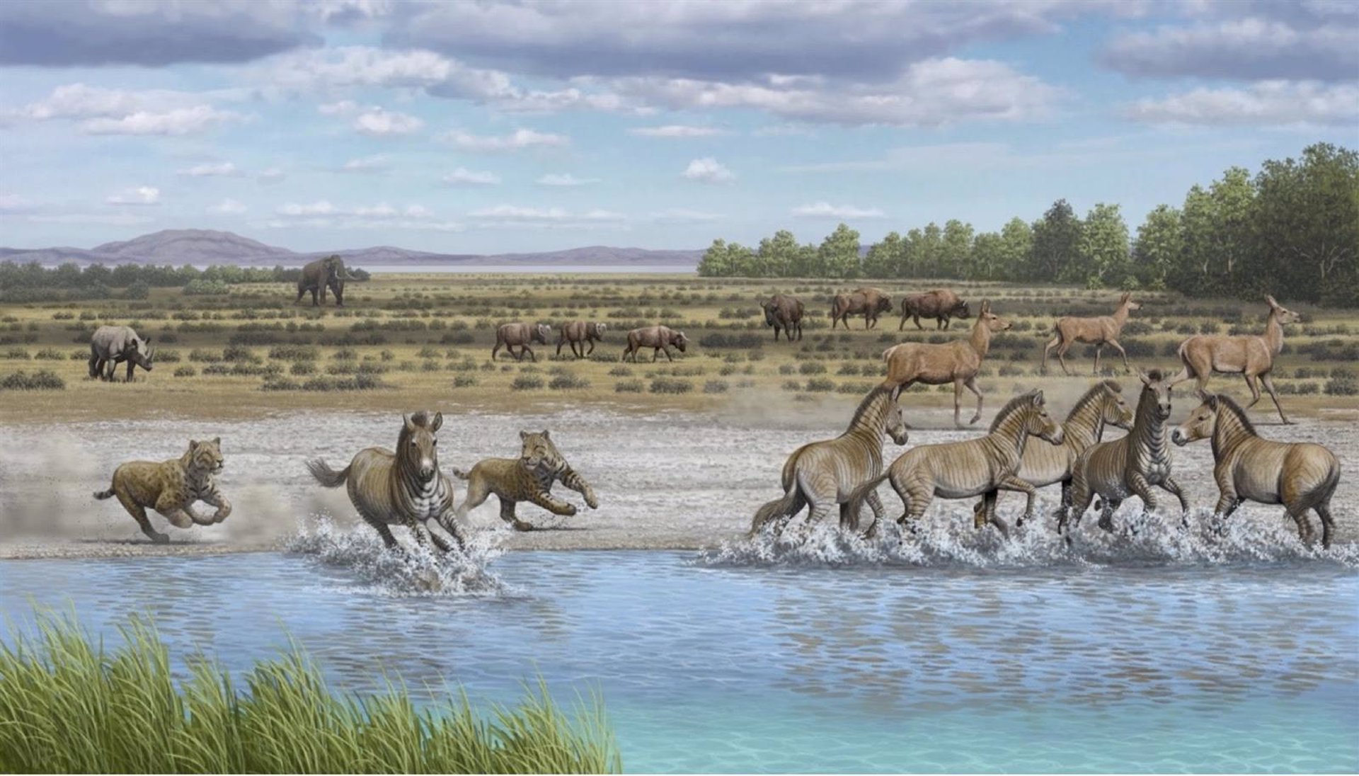 Recreación de Orce (Granada) antes de la llegada de los homínidos, hace 1,6 millones de años (MAURICIO ANTÓN)