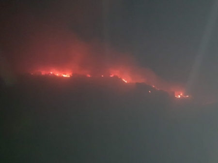 Incendio en el Cerro de San Miguel (INFOCA)