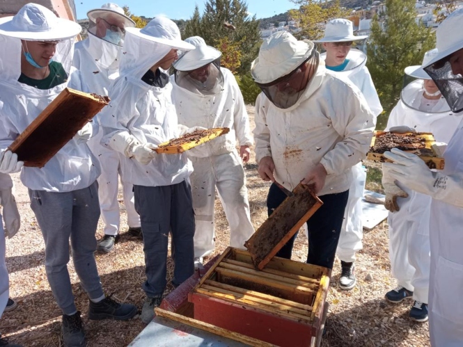 Ciclo formativo de grado medio en producción agropecuaria (AYTO. MONTEFRIO)