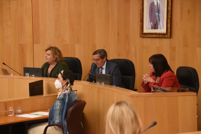 Pleno de la Diputación de Granada (R. PORCEL / DIPGRA)