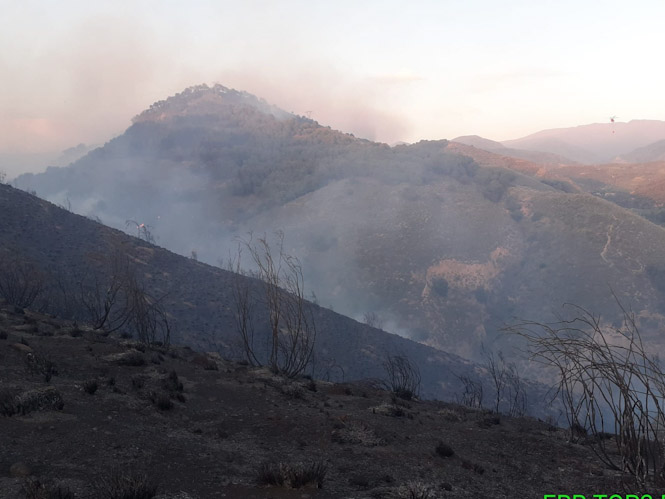 Lugar del incendio (INFOCA)