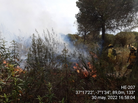 Lugar donde se ha producido el incendio (INFOCA)